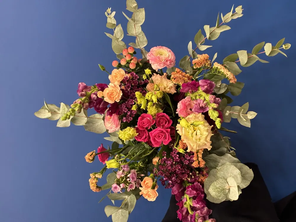 Texture délicate de pétales